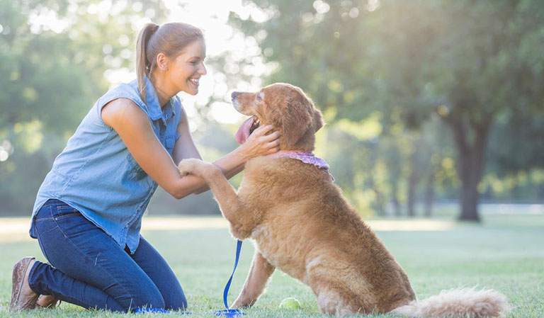 Rewarding your dog, dog friendly events near me, pet groomers fort wayne, pet grooming fort wayne