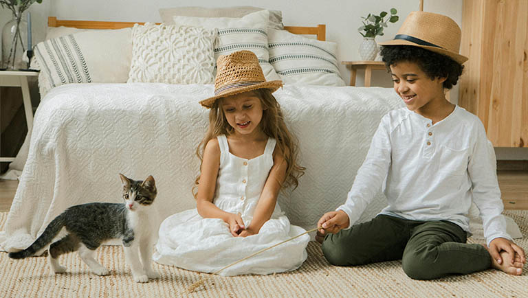 kids with cat, all about dogs grooming, dog grooming facts