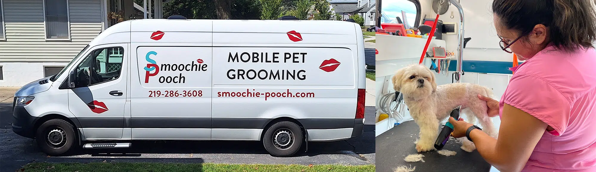 mobile dog grooming and mobile cat grooming in northwest indiana