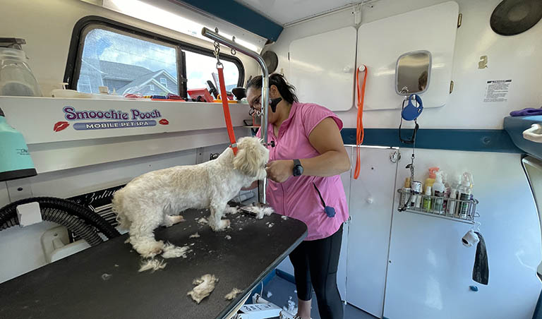 dog getting groomed in mobile grooming van, professional mobile dog groomers near me, professional dog groomers near me