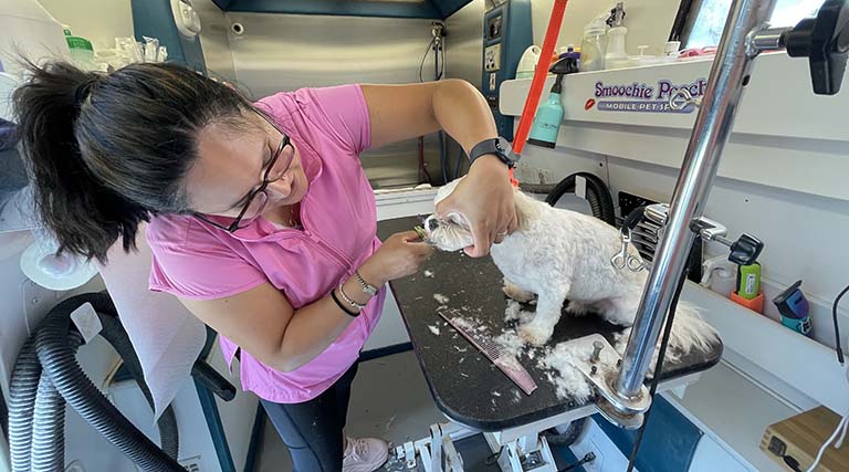 mobile dog grooming van, how often do dogs need nails trimmed