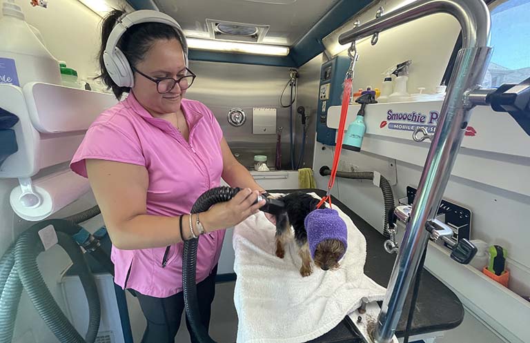 dog getting dried in mobile grooming van, nearest dog groomer, dog spa near me