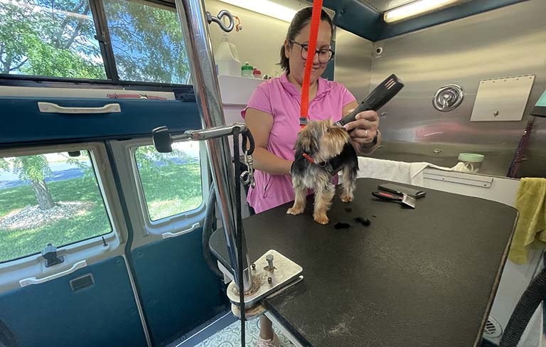 an angle of the mobile grooming van, all about dogs grooming, animal grooming near me