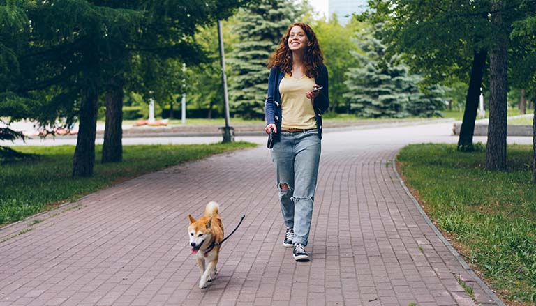 walking dog before grooming appointment, grooming near me dog, cat grooming near me