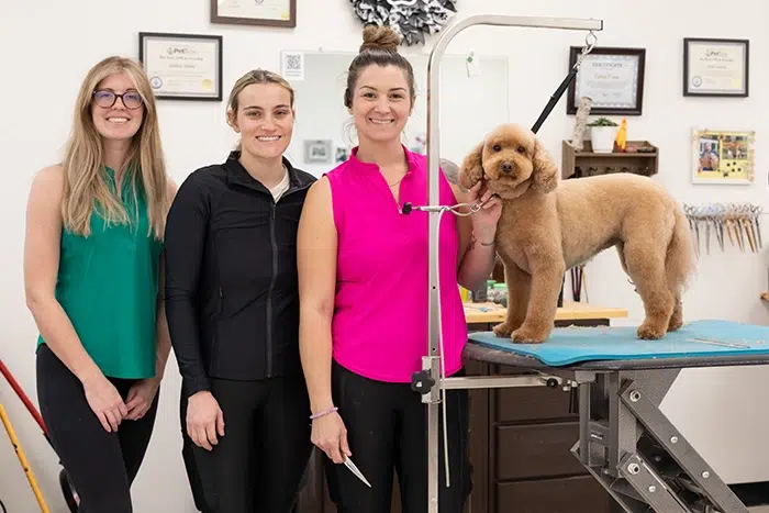 best dog groomers in fort wayne