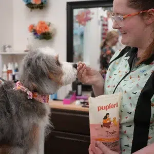 Puppy dog be given treat by groomer at Fort Wayne Smoochie Pooch