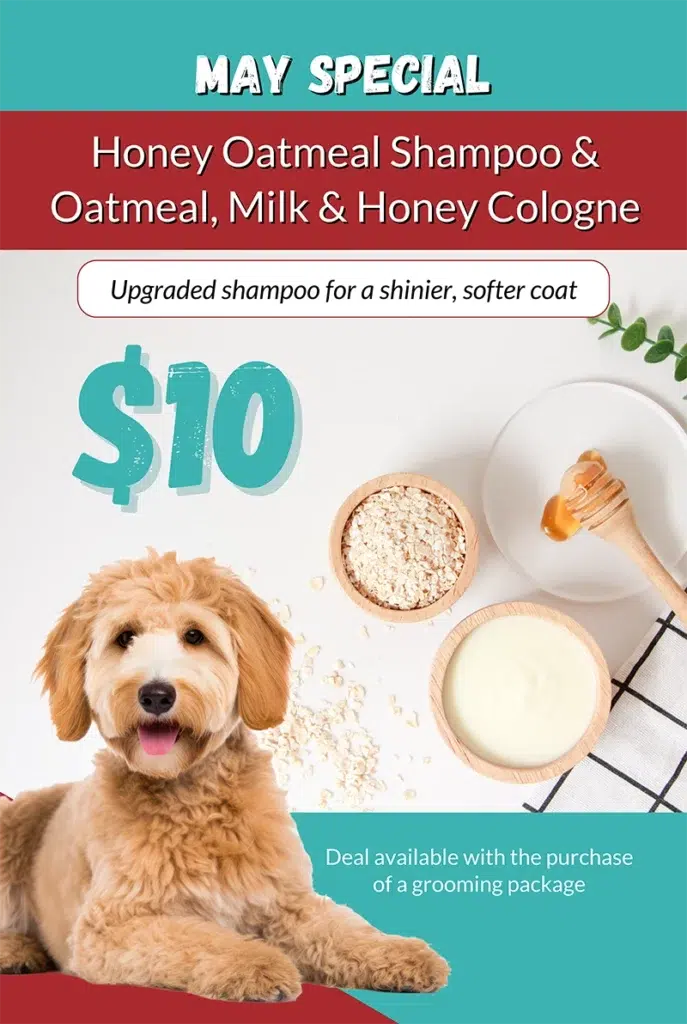 cheap dog grooming prices, pet grooming specials, may 2025