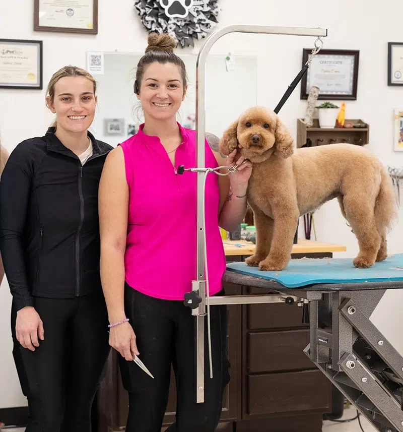 pet grooming salon, Smoochie pooch dog groomers, Fort wayne southwest dog groomers