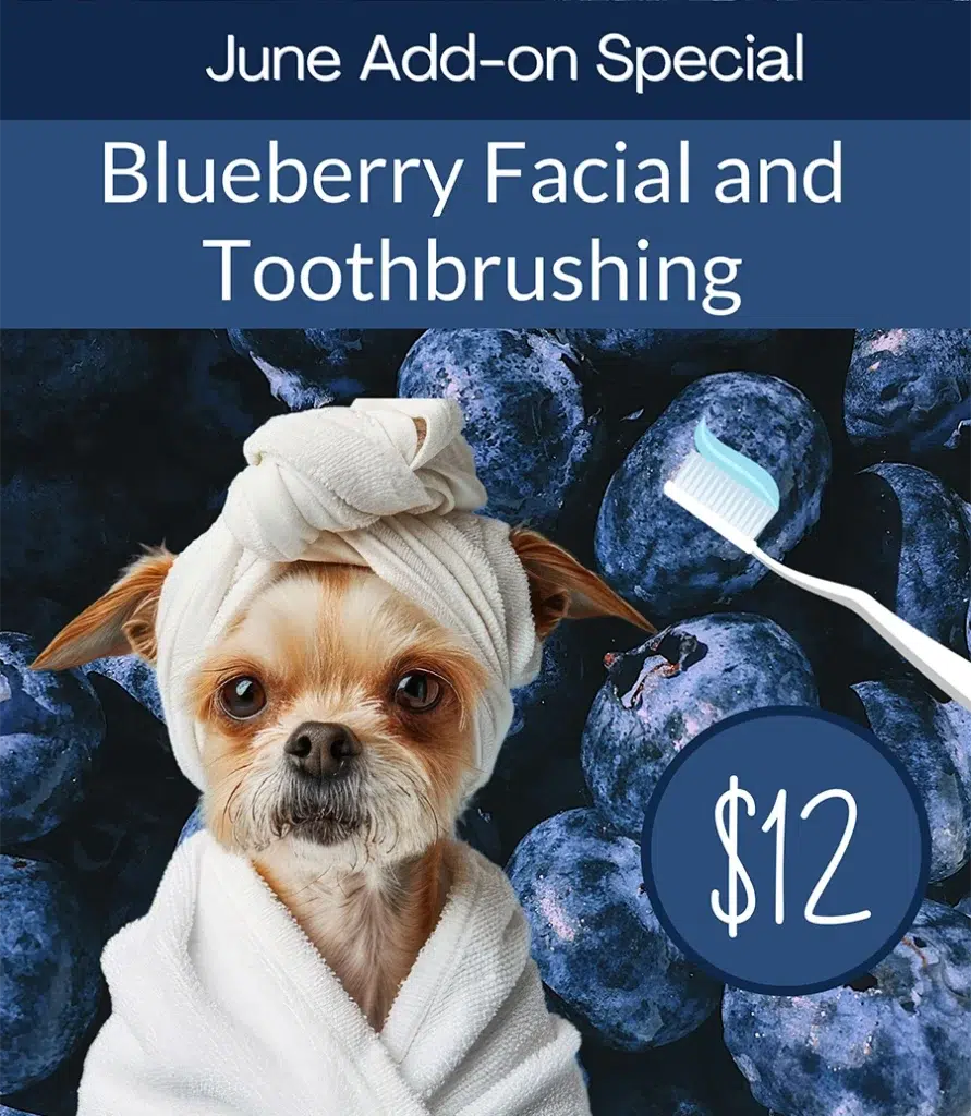 dog grooming prices, grooming specials