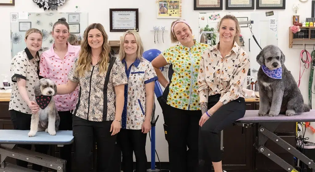 pet stylist job opening, dog grooming job, pet grooming careers