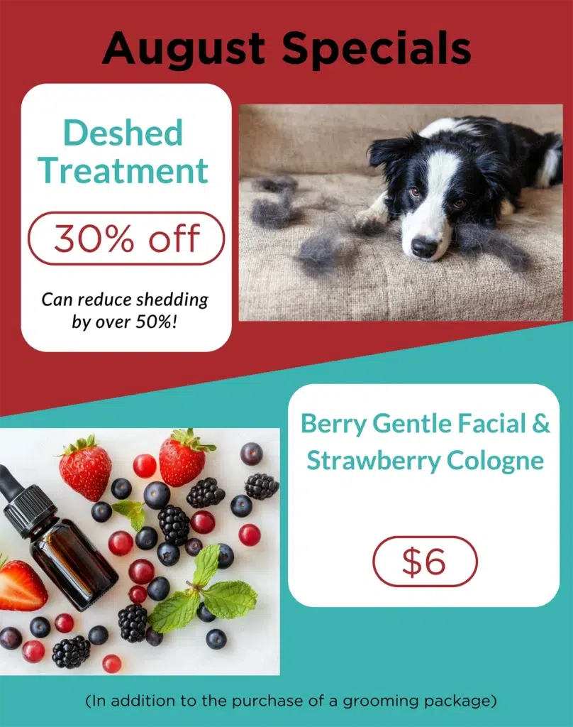 Smoochie Pooch Dog Grooming Special August 2025