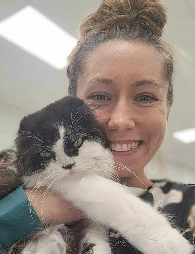 cat grooming near me