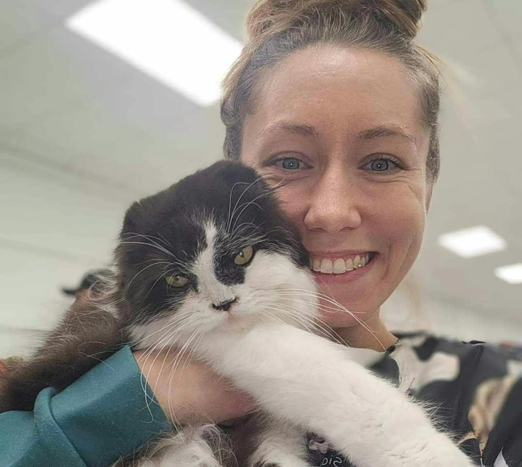 mobile cat groomer Smoochie Pooch