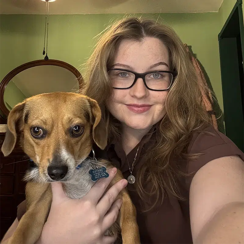 dunedin fl dog groomer at Smoochie Pooch dog grooming salon