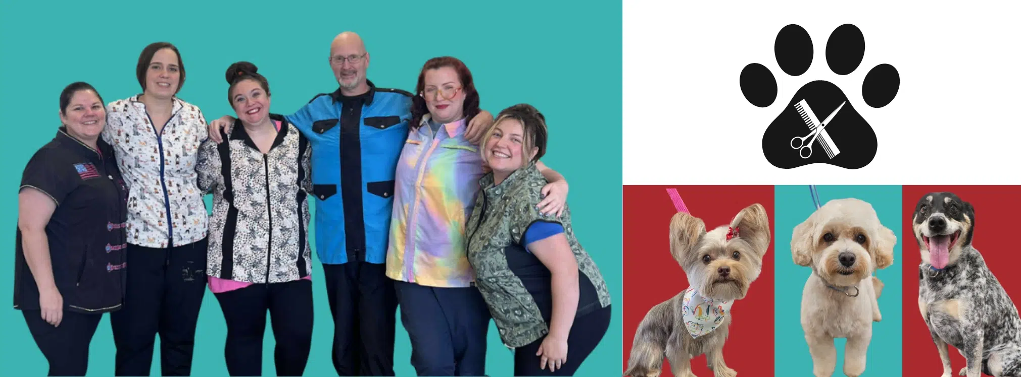 dog grooming crown point