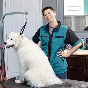 Dog Grooming Course near me