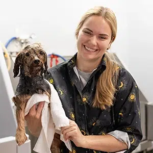 Smoochie Pooch Apprenticeship program for dog groomers