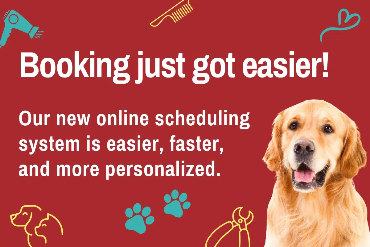 pet grooming near me, pet grooming salon, book an appointment, mobile pet grooming