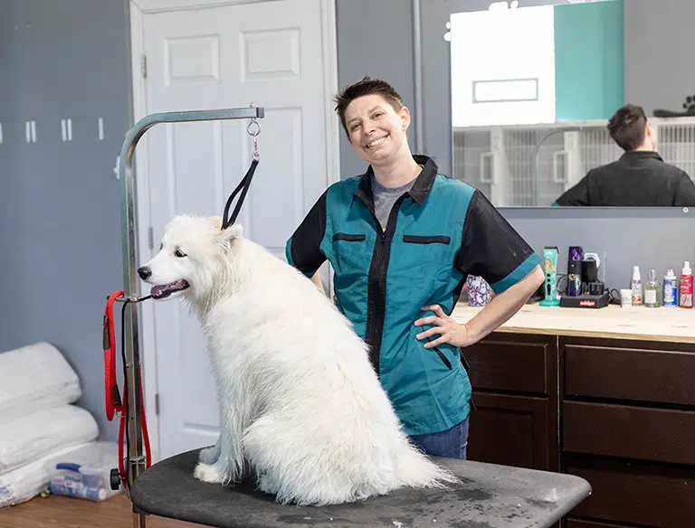 chesterton dog groomer, dog groomers near me, smoochie pooch, gilly's doghouse, gilly's dog house, chesterton indiana