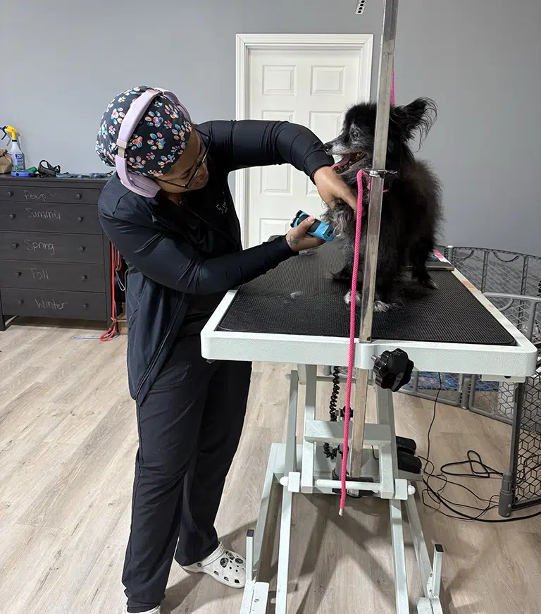 chesterton indiana dog groomer, dog groomer near me, smoochie pooch, formerly gilly's dog house