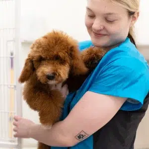 dog groomers in Fort Wayne Indiana Smoochie Pooch