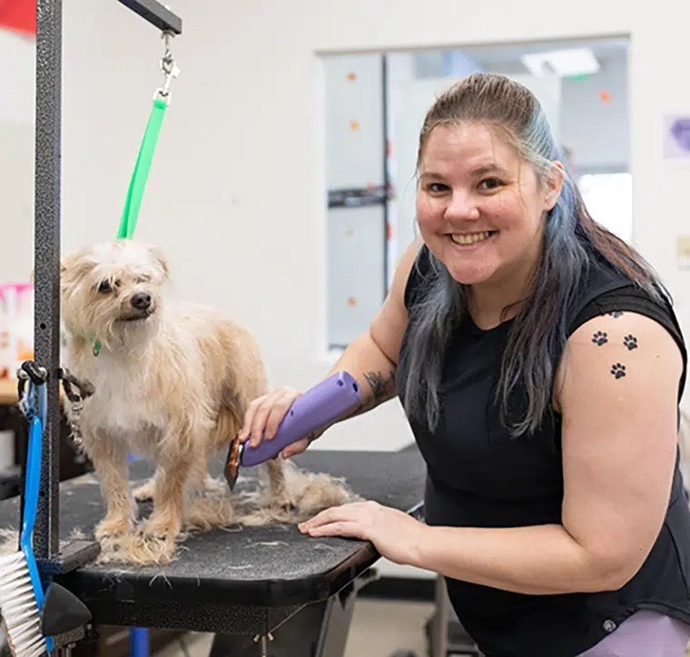 Melissa Gearlds Crown Point Dog Groomer