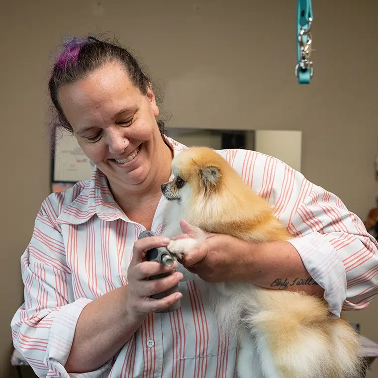 Rachel Schute Lowell Smoochie Pooch