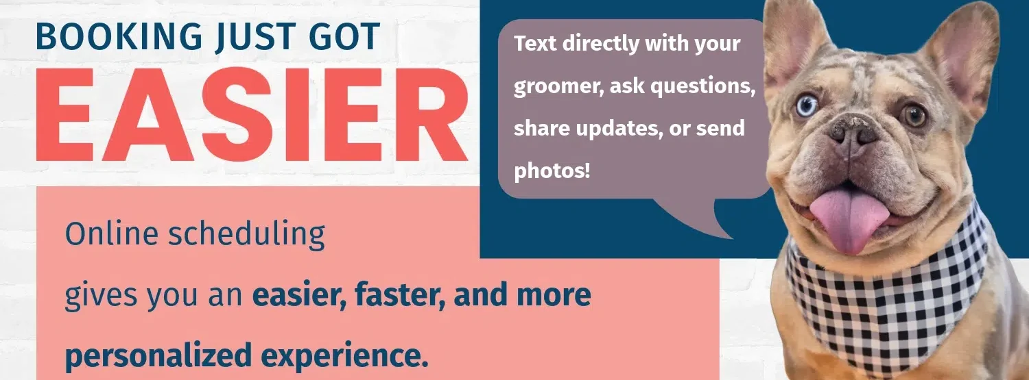 dog grooming appointment, dog grooming salon, mobile dog grooming