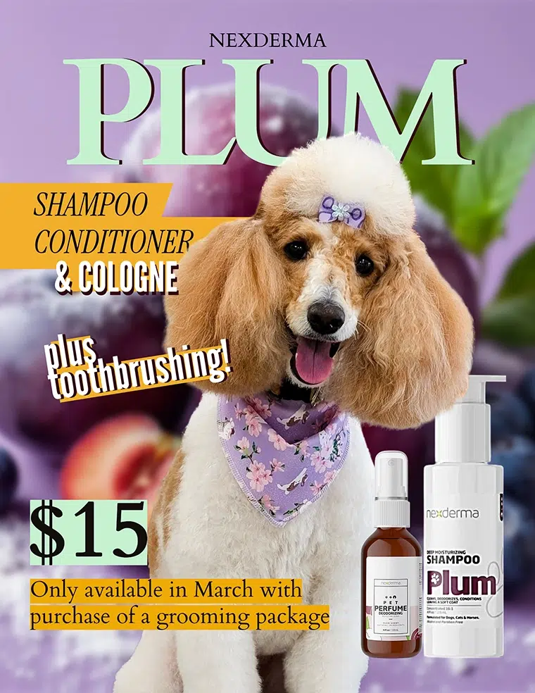 Plum scented shampoo and conditioner monthly special savings