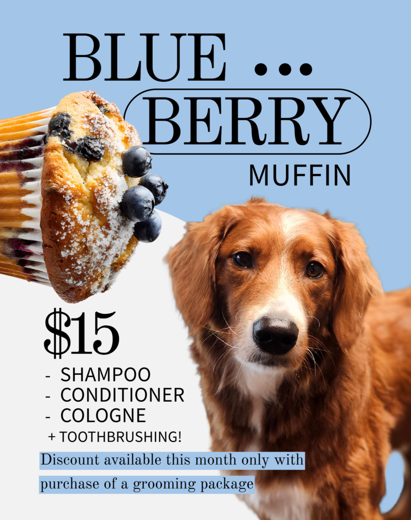 June Monthly Special Groom Blueberry Muffin