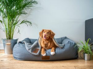 Dog Bed Safe Space