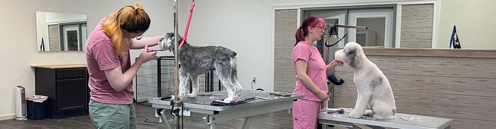 Dog Groomer In Carmel IN Carmel Dog Grooming Services dog-groomer-in-carmel-in-carmel-dog-grooming-services